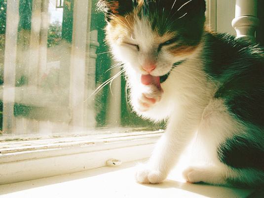 成都家具定制哪家好